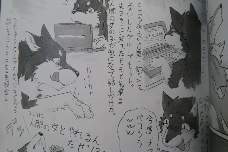 Doujinshi KEMONO anthology KTQ5 KTQ 48 (B5 86pages) KTQ48 utaken KTQ 5 furry
