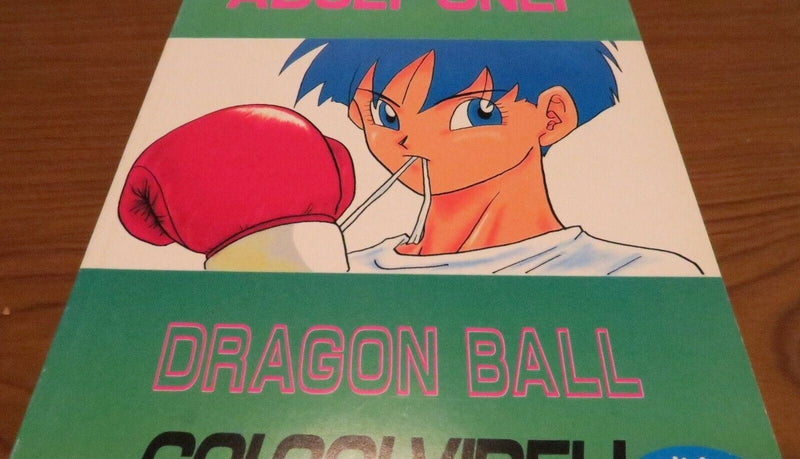 Doujinshi Dragon Ball Street Fighter etc. anthology (B5 192pages) Fusuma Y