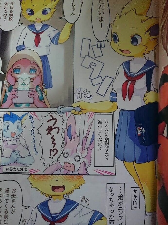 Doujinshi POKEMON (B5 32pages full color) furry Glaceon Espeon Jolteon etc.