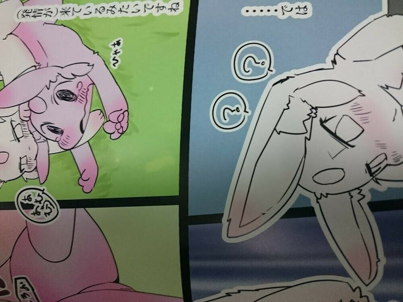 POKEMON Doujinshi (B5 12pages Full color) furry