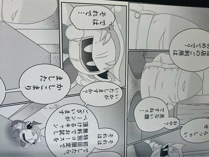 Doujinshi Kirby's Dream Land (B5 16pages) Metaknight uke