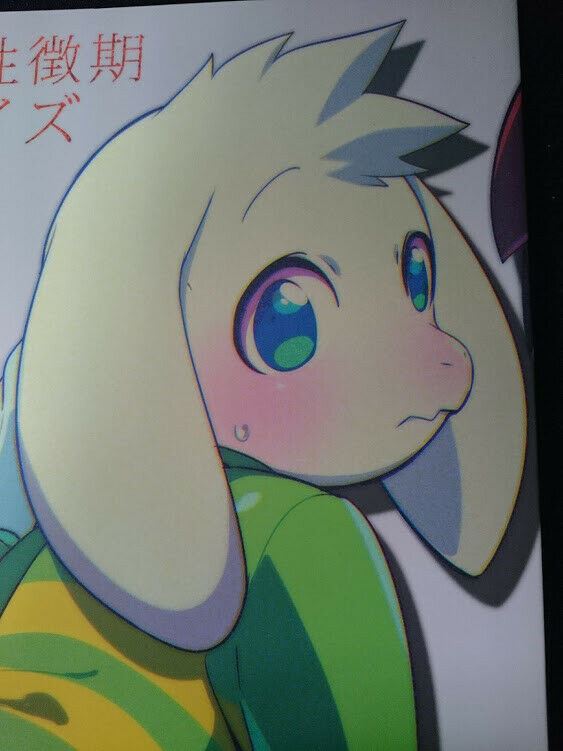 Doujinshi Undertale Chara X Azu (B5 20pages) furry GASOKU KEMONO