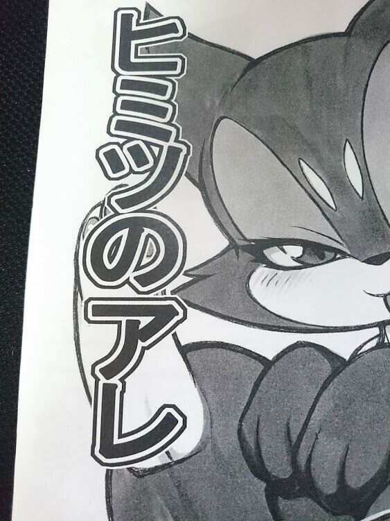 Pokemon Furry handmade Doujinshi Mayoineko (B5 20pages) kemono