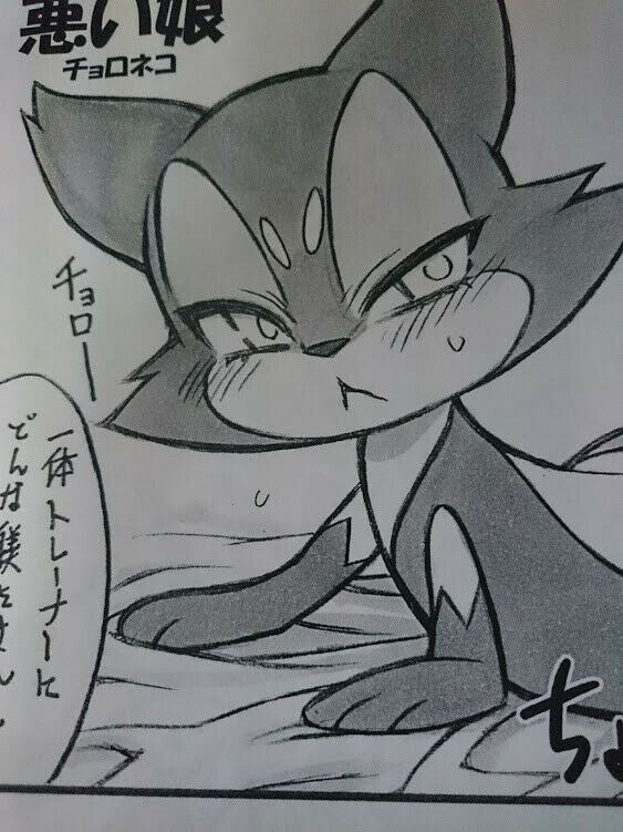 Pokemon Furry handmade Doujinshi Mayoineko (B5 20pages) kemono