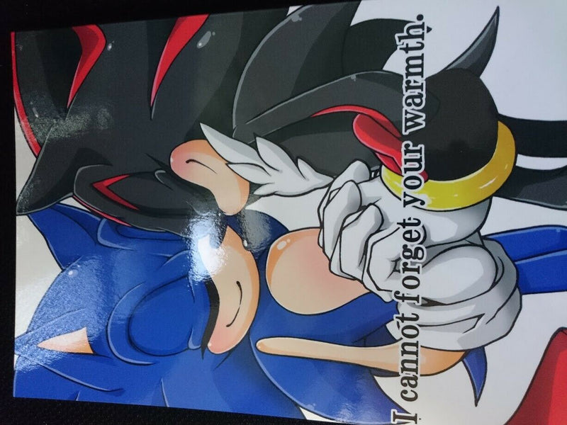 Sonic the Hedgehog Doujinshi Sonic X Shadow (B5 50pages) ROOT8Beat