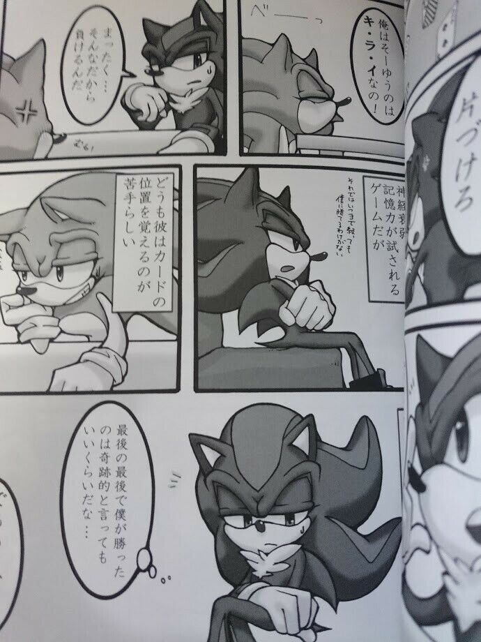 Doujinshi SONIC X SHADOW (A5 30pages) not forget your warmth. furry the Hedgehog