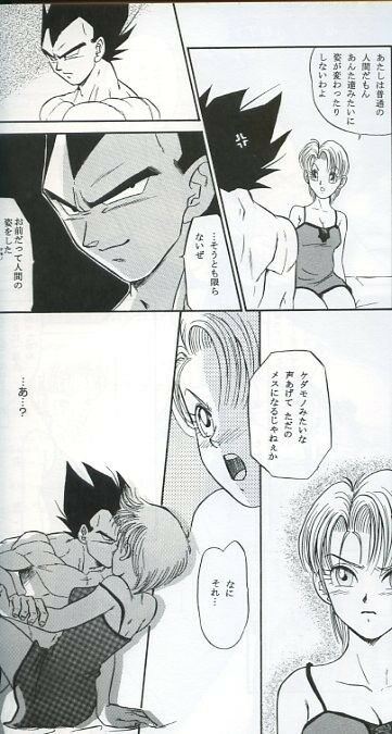 Dragon Ball Doujinshi Vegeta X Bulma (B5 46pages) RYUJIN-KAI BODIES