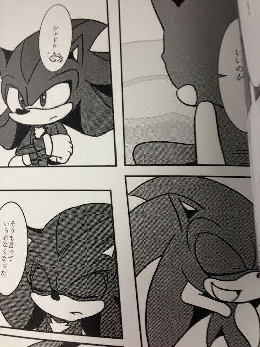 Doujinshi SONIC THE HEDGEHOG Silver main (B5 48pages) World End Runners Sky High