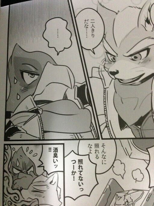 Doujinshi Star Fox Falco uke (A5 20pages) Otohime 49gou Sutamina furry kemono