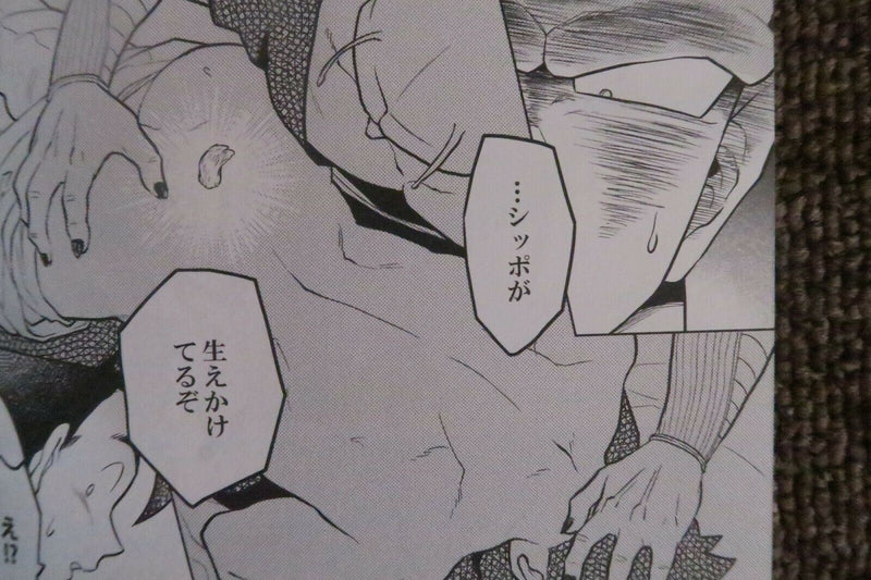 Dragon Ball Doujinshi Piccolo X Gohan (A5 134pages) Phan Anthology Momo
