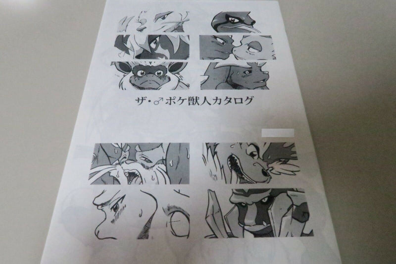 POKEMON handmade doujinshi illustration (B5 12pages) furry kemono