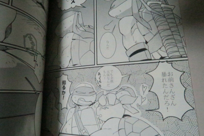 Teenage Mutant Ninja Turtles Doujinshi Anthology (B5 120pages) HONEY LUSH TMNT