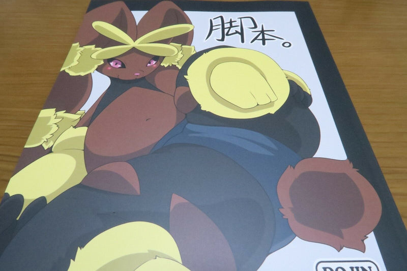 POKEMON doujinshi Lucario Gardevoir etc. (B5 60pages) Kefumofu Ashihon furry