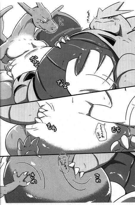 POKEMON Doujinshi (A5 16pages) Kemono furry Onaka taiketsu