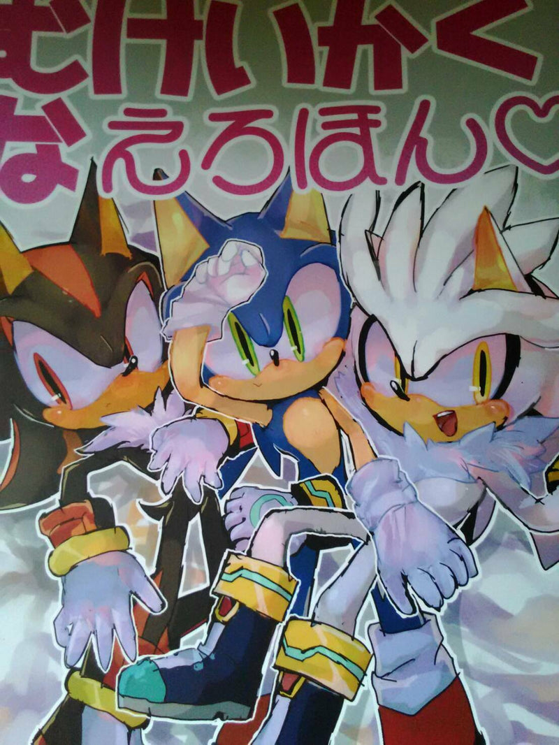 Sonic the Hedgehog Doujinshi Sonic , Silver , Shadow (B5 20pages) kashima furry