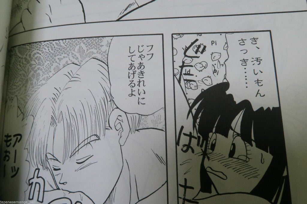 Doujinshi Dragon Ball GOHAN X VIDEL , TRUNKS X PAN (B5 46pages) fusuma goten