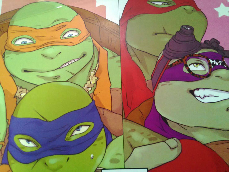 Teenage Mutant Ninja Turtles yaoi Doujinshi Raph X Don etc. (A5 32pages) TBSH