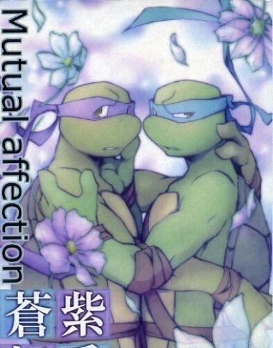 Teenage Mutant Ninja Turtles yaoi doujinshi LDL anthology Mutual affection 218p