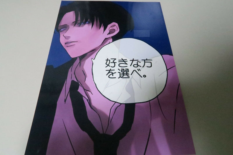 Attack on Titan doujinshi Levi X Eren (B5 20pages) Lepus Sukinahou wo erabe