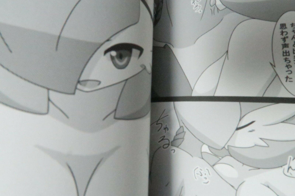 POKEMON Doujinshi Gardevoir (B5 20pages) Be Dimly Us Witch's Moonlit Night furry