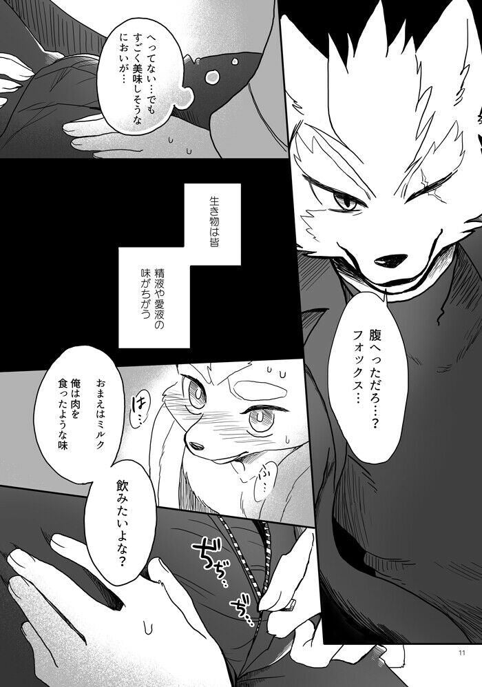 Star Fox Doujinshi Wolf X Fox (A5 36pages) rotation trampoline Shita furry