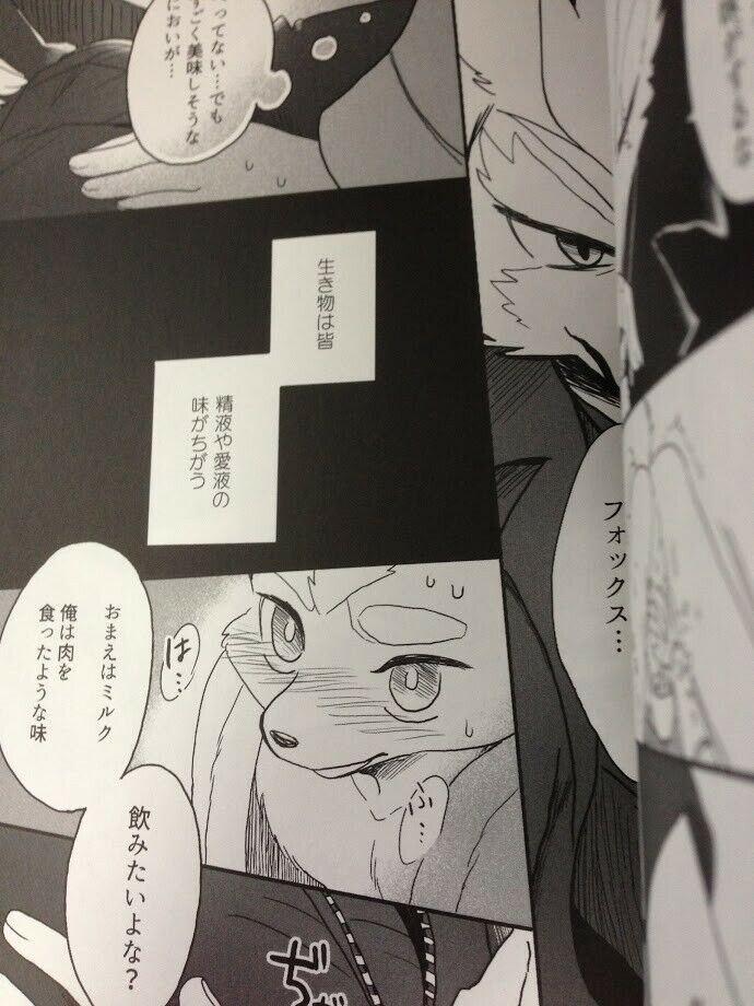 Star Fox Doujinshi Wolf X Fox (A5 36pages) rotation trampoline Shita furry