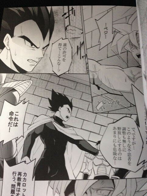 Dragon Ball Doujinshi Goku X Vegeta (B5 32pages) Into Darkness Last Ep. Herumon