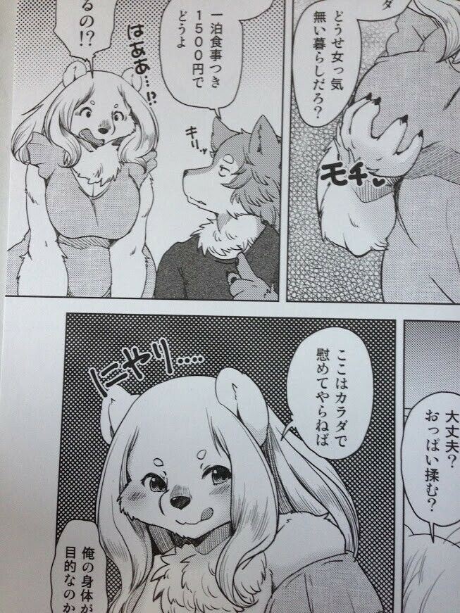 Doujinshi Furry (B5 26pages) noraya yumeutsutsu nettaiya kemono