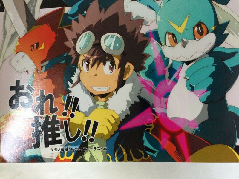 Buddyfight DB Sonic etc Illustration Doujinshi (A5 24pages full color) furry ore