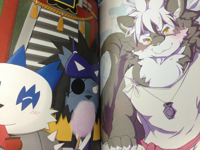 Buddyfight DB Sonic etc Illustration Doujinshi (A5 24pages full color) furry ore