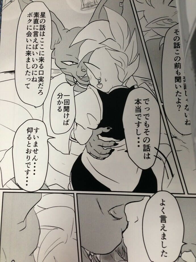 Dragon Ball Doujinshi Beerus X Shin (B5 24pages) SURIMI Wake Up!