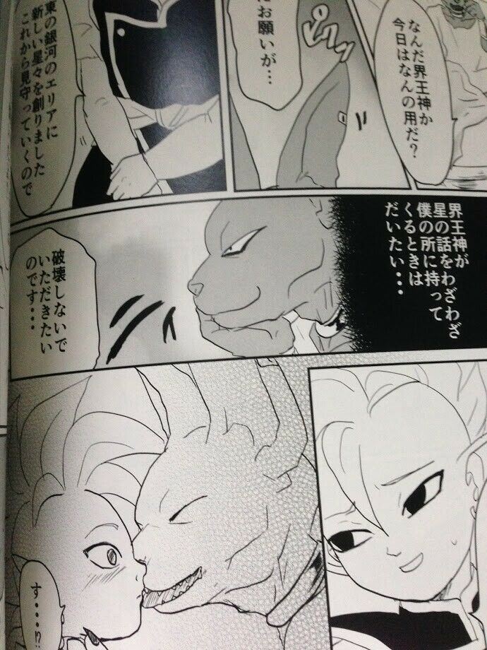 Dragon Ball Doujinshi Beerus X Shin (B5 24pages) SURIMI Wake Up!