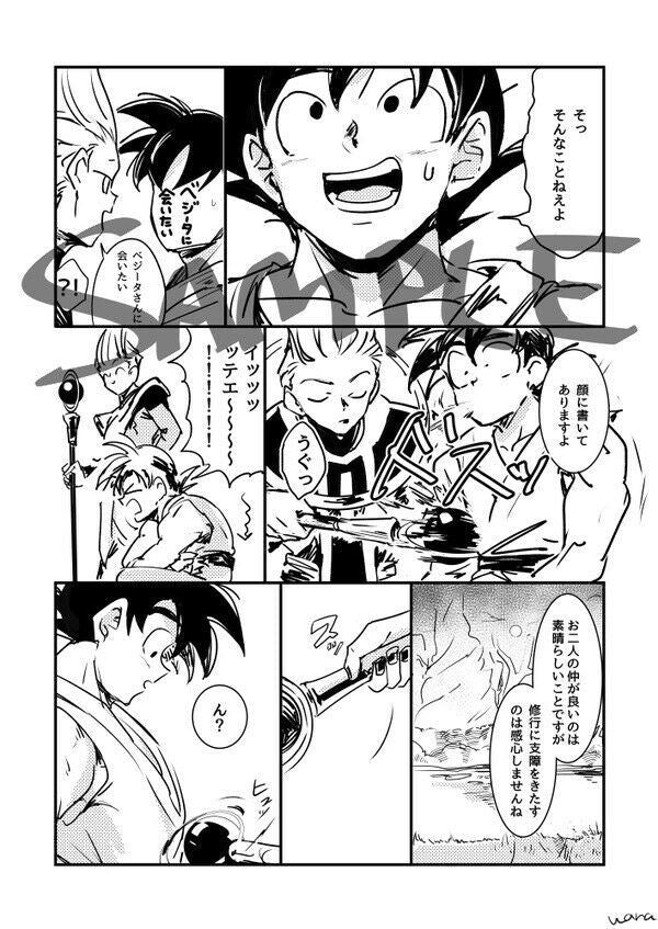 Doujinshi Dragon Ball Kakarot x Vegeta (B5 34pages) Wake up! enki wara