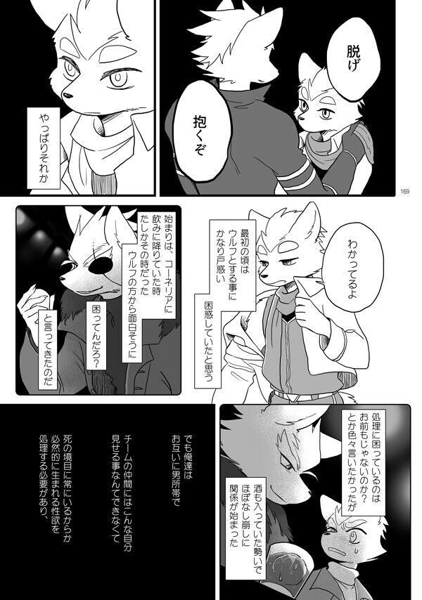 Star Fox Doujinshi Wolf X Fox etc. (A5 182pages) rotation Delta furry