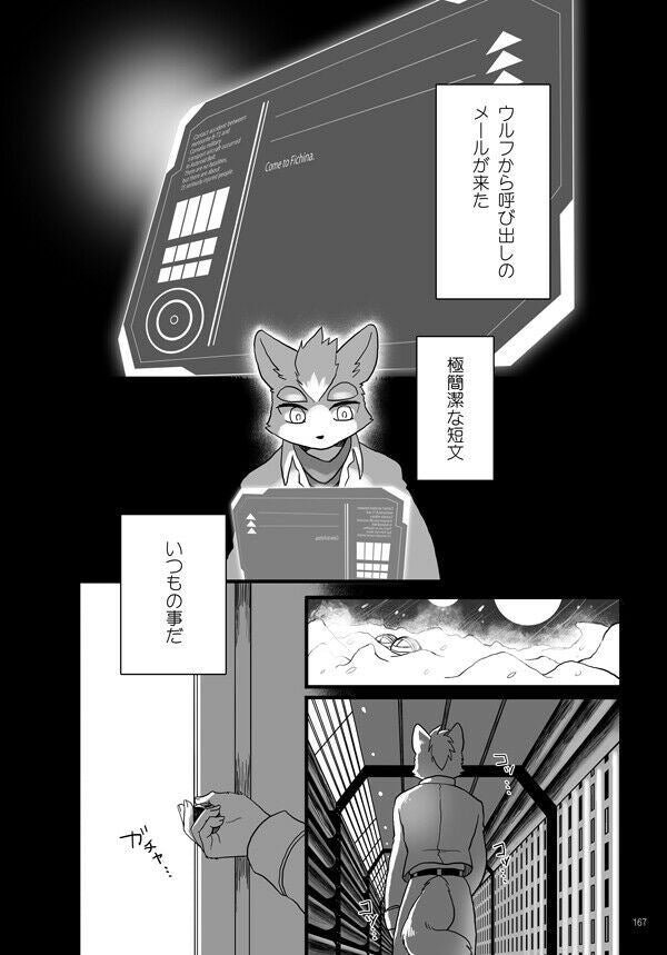Star Fox Doujinshi Wolf X Fox etc. (A5 182pages) rotation Delta furry