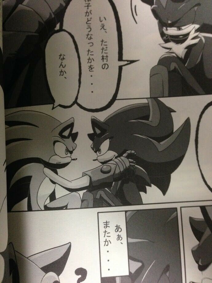 Sonic the Hedgehog Doujinshi SONIC X LANCELOT Anthology (A5 68pages) AVALON