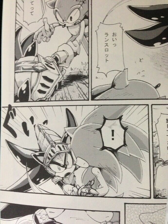Sonic the Hedgehog Doujinshi Sonic , Silver , Shadow (B5 20pages