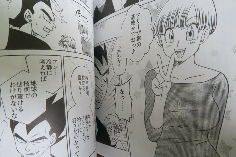 Dragon Ball Doujinshi Vegeta X Bulma (A5 98pages) aitoyokubounohibi uchusakusen