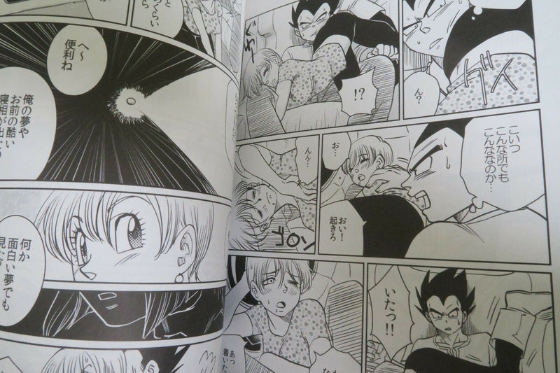 Dragon Ball Doujinshi Vegeta X Bulma (A5 98pages) aitoyokubounohibi uchusakusen