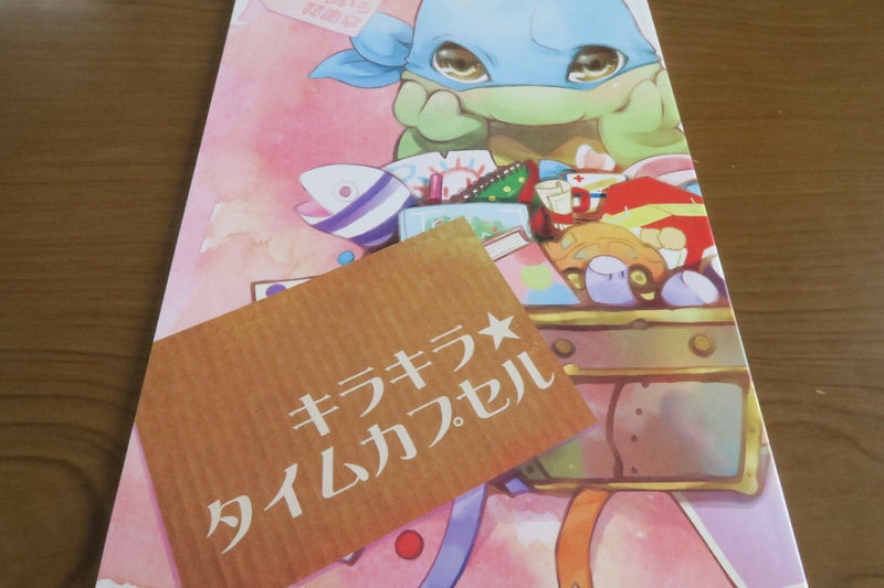 Teenage Mutant Ninja Turtles doujinshi (B5 44pages) Kirakira capusule Sairoku