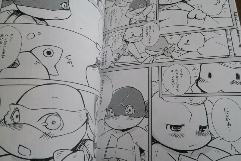 Teenage Mutant Ninja Turtles doujinshi (B5 44pages) Kirakira capusule Sairoku
