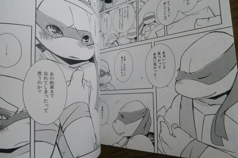 Teenage Mutant Ninja Turtles doujinshi (B5 44pages) Kirakira capusule Sairoku