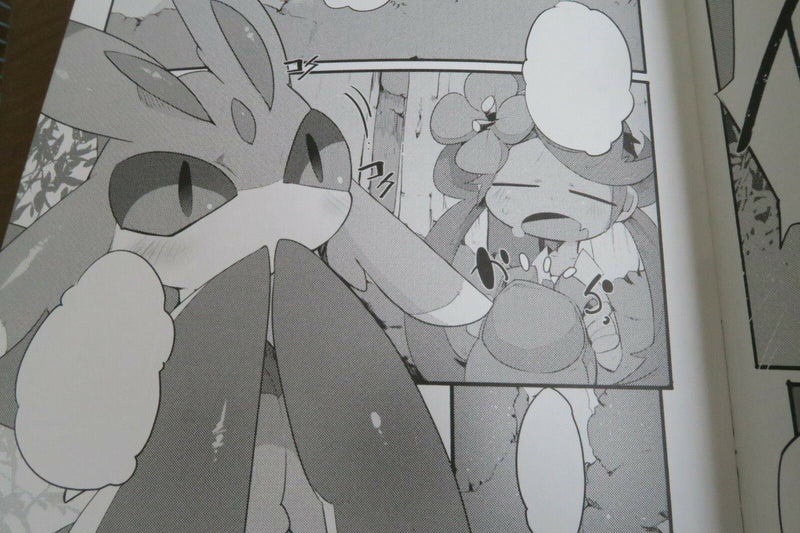 POKEMON Doujinshi XXX BOX (B5 12pages) kaii petoshiumu kemono furry