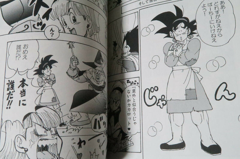 Dragon Ball Doujinshi Goku X Vegeta (A5 42pages) Himewanko SCHOOL HEAVEN
