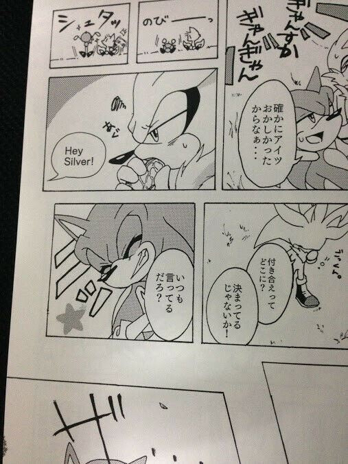 Sonic the Hedgehog Doujinshi (A5 40pages) Silver and Blaze