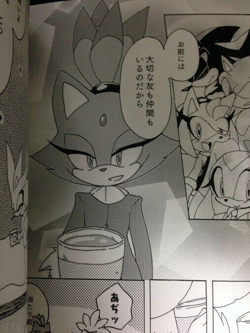 Sonic the Hedgehog Doujinshi (A5 40pages) Silver and Blaze