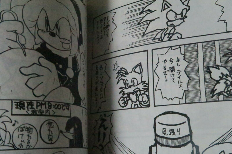 Doujinshi SONIC THE HEDGEHOG (A5 52pages) CRAYON BLUE Sonic Dynamite 03