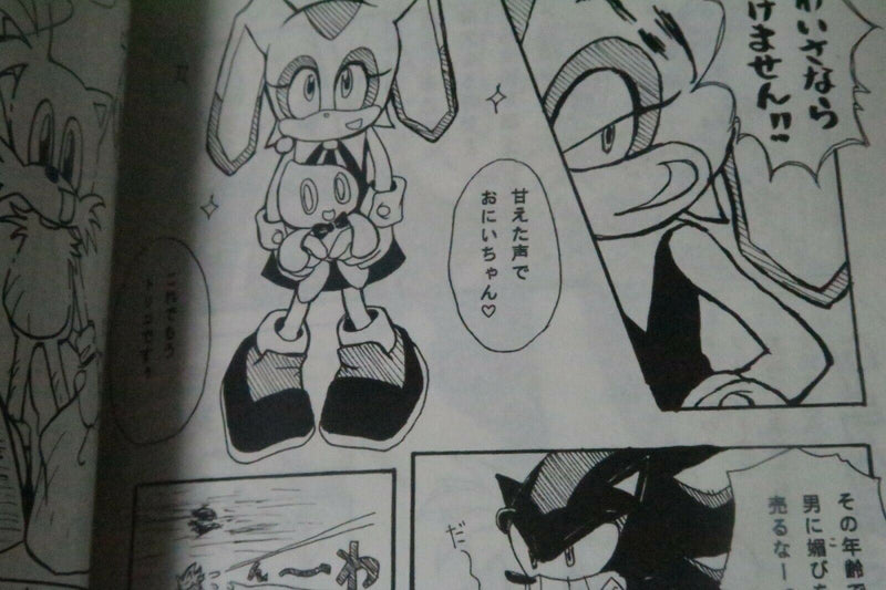 Doujinshi SONIC THE HEDGEHOG (A5 52pages) CRAYON BLUE Sonic Dynamite 03