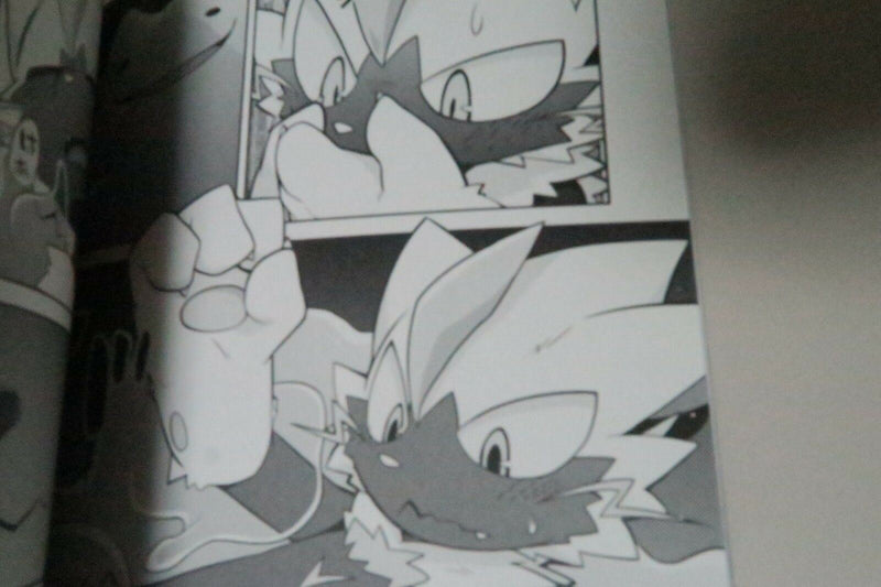 Doujinshi POKEMON Ditto X Zeraora (A5 16pages) QUIET PLAY PELL-MELL WORKS furry