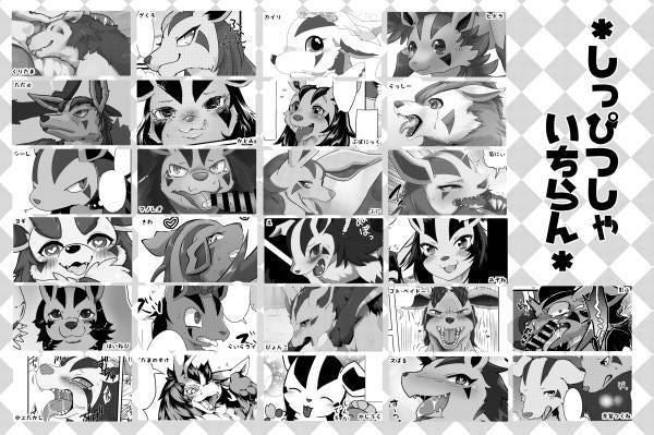 Doujinshi POKEMON Mightyena anthology (B5 124pages) HARUGUMO 2nd furry kemono